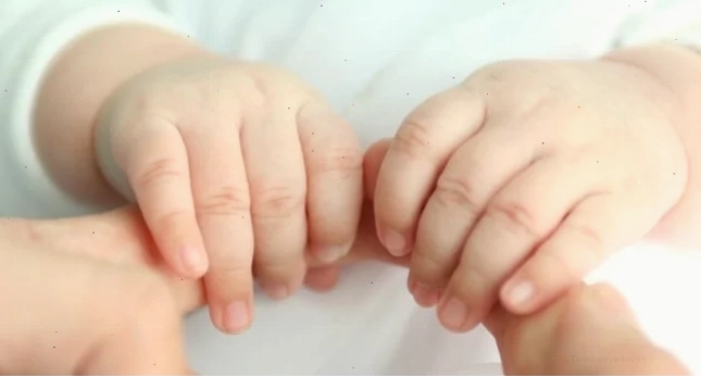 Bảng giờ hoàng đạo đại cát trong tháng 11 giúp thuận lợi mọi bề