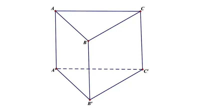 hình lăng trụ đứng hình lăng trụ đứng