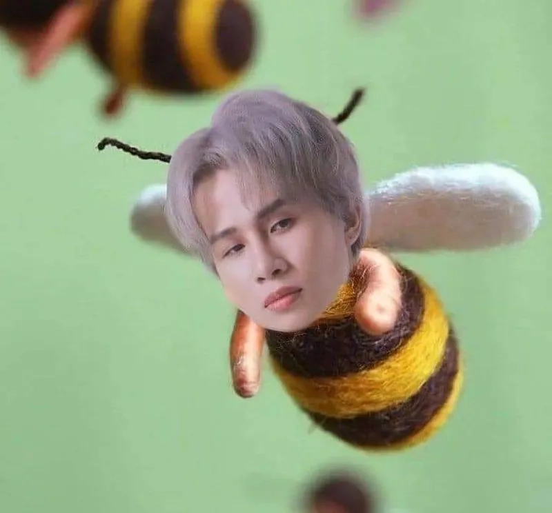 Không nhịn được cười với ảnh meme hài hước cute